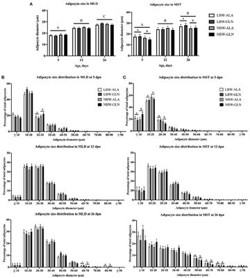 Distinct Roles of Perilipins in the Intramuscular Deposition of Lipids in Glutamine-Supplemented, Low-, and Normal-Birth-Weight Piglets